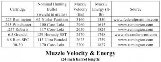 A chart showing muzzle velocity and energy for several cartridges