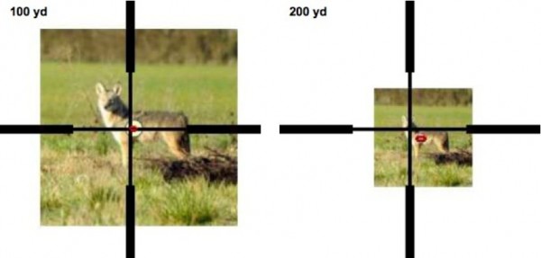 Figure 6. Sight picture needed to get center of impact on coyote vital zone at 300 and 400 yards. The red ellipse indicates where about half of the shots will hit with a 10 mph wind from the left and a wind-estimation error of 2 mph. Coyote picture credit: US Fish and Wildlife Service