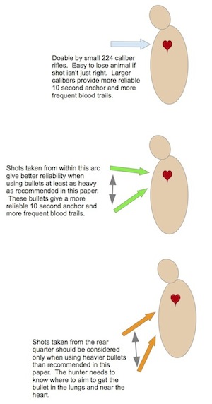 Figure 2. Recommended shot angles for taking medium game are more or less from the side with desired impact within about 5" of the top of the heart.