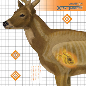 Figure 2. This excellent X-RayTM deer target shows us where the top of the heart is and a glance at the 1” hash marks tells us that a 10” vital zone is possibly optimistic for this 190 lb deer. The author is indebted to Champion Targets (www.championtarget.com) for giving permission to use this life-size target with vital organs displayed along with dimension lines.